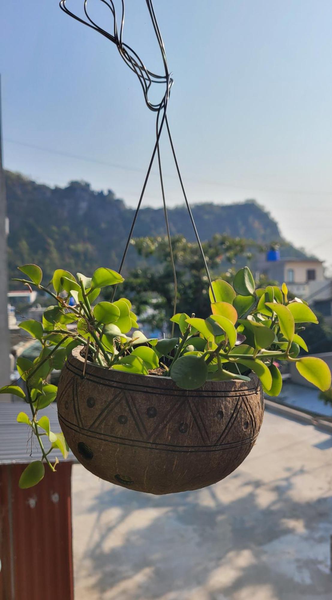 Tiny Garden House Cat Ba Hotel Chan Chau Bagian luar foto