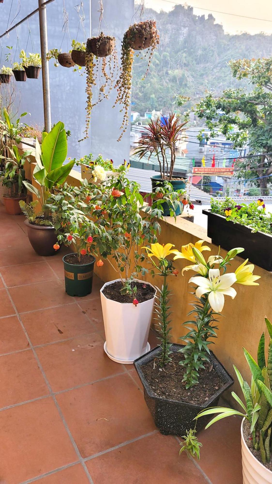 Tiny Garden House Cat Ba Hotel Chan Chau Bagian luar foto