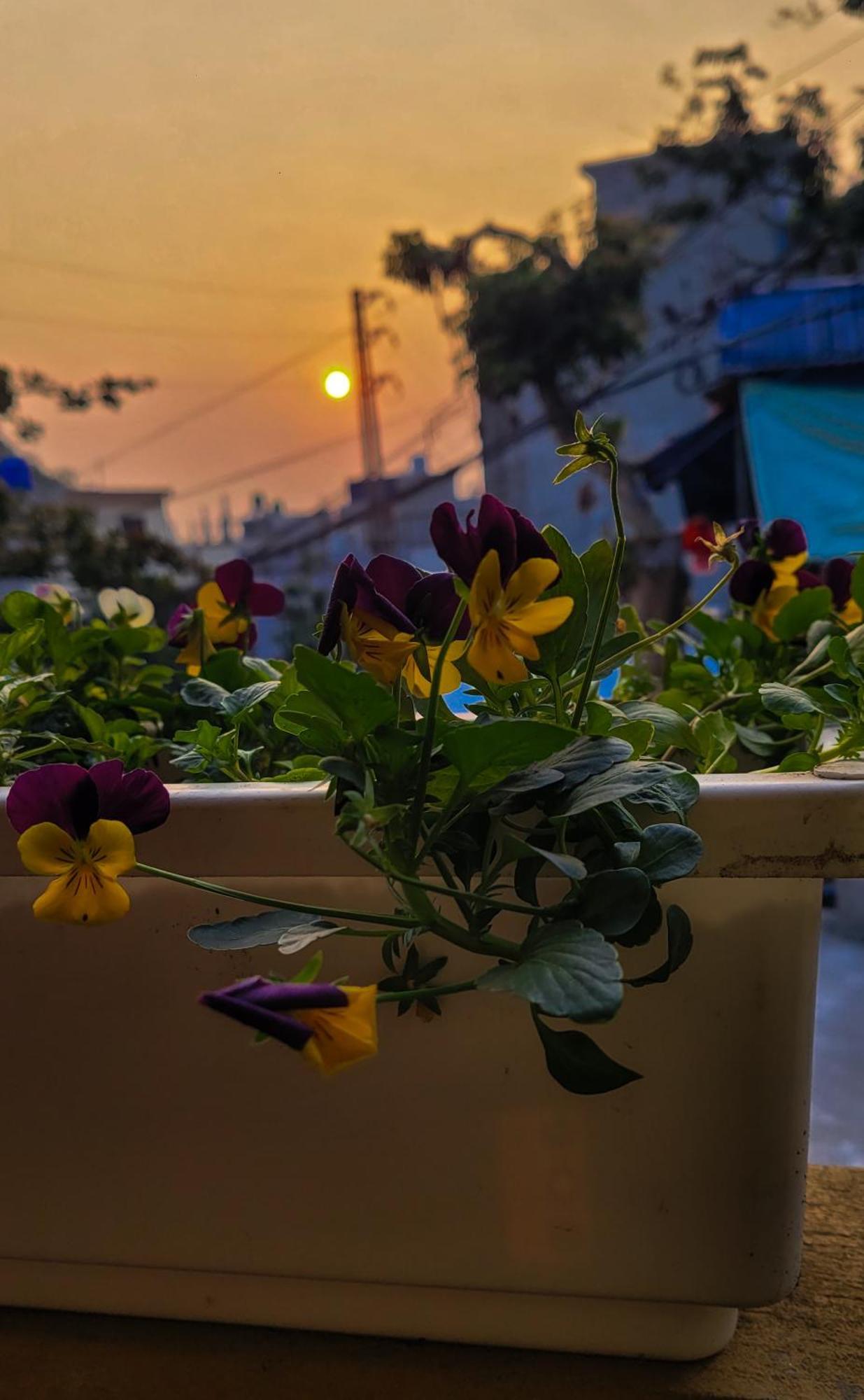 Tiny Garden House Cat Ba Hotel Chan Chau Bagian luar foto