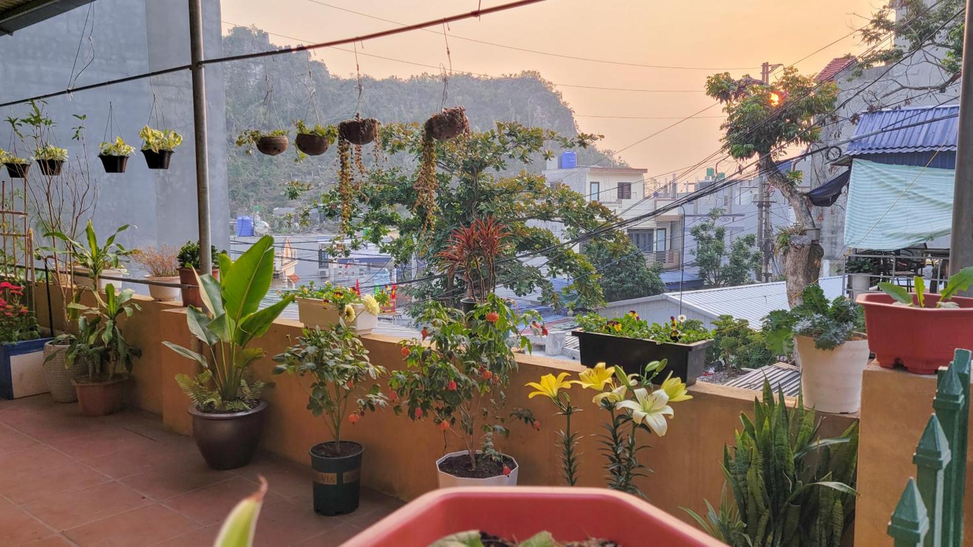 Tiny Garden House Cat Ba Hotel Chan Chau Bagian luar foto